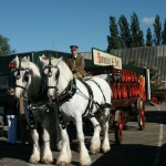 Project-Dommelsch-bierwagen met paarden-wagenmakerij-Verweij